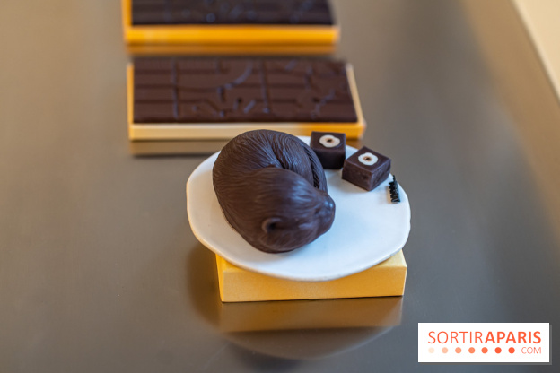 La chocolaterie William Artigue et ses chocolats de Noël 2024