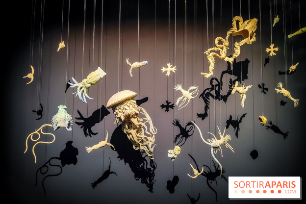 La Grande expédition : l'exposition entre art et science au Centquatre-Paris - nos photos - IMG20241115095924