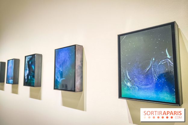 La Grande expédition : l'exposition entre art et science au Centquatre-Paris - nos photos