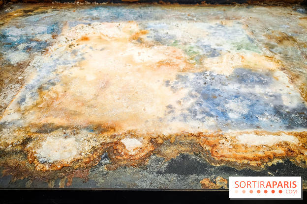 La Grande expédition : l'exposition entre art et science au Centquatre-Paris - nos photos - IMG20241115095053