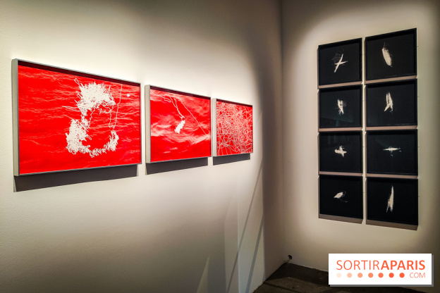 La Grande expédition : l'exposition entre art et science au Centquatre-Paris - nos photos - IMG20241115095239