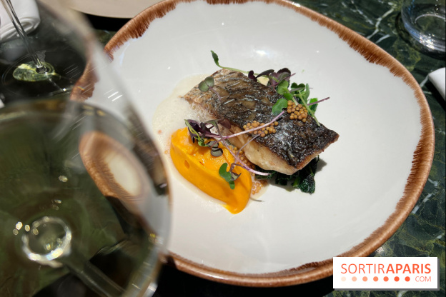 Onyx - Poisson, carotte, gingembre