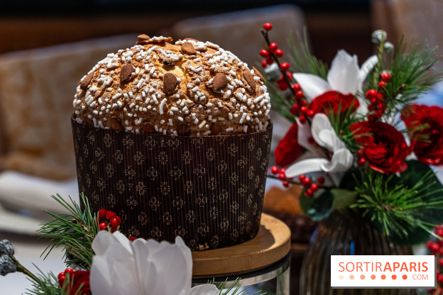 La Bûche de Noël 2024 et créations de Fête du Cheval Blanc par Maxime Frédéric et son équipe -  panettone