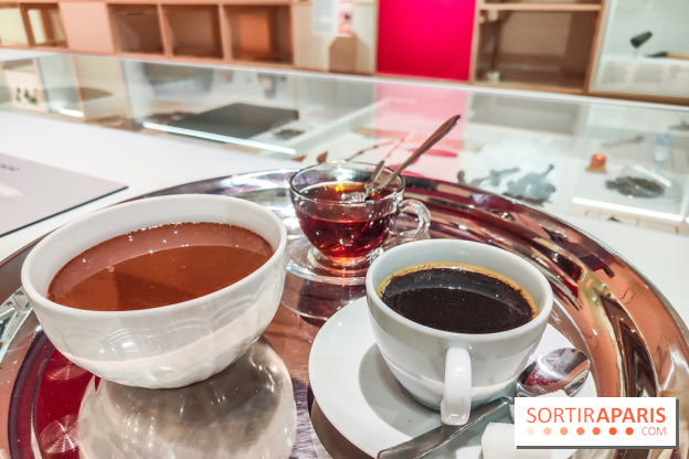 Migrations, une odyssée humaine : l'exposition-événement se dévoile au Musée de l'Homme à Paris - IMG20241120105041