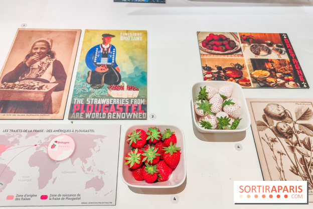 Migrations, une odyssée humaine : l'exposition-événement se dévoile au Musée de l'Homme à Paris - IMG20241120105817