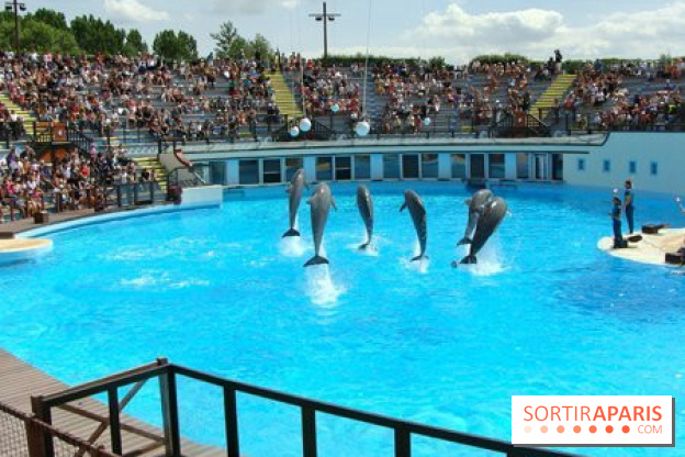 Parc Asterix
Dauphins