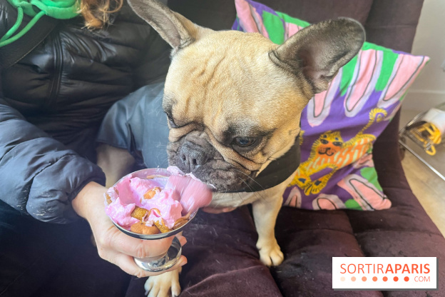 CAYU Canidés Club, la boutique d'accessoires dog friendly - nos photos