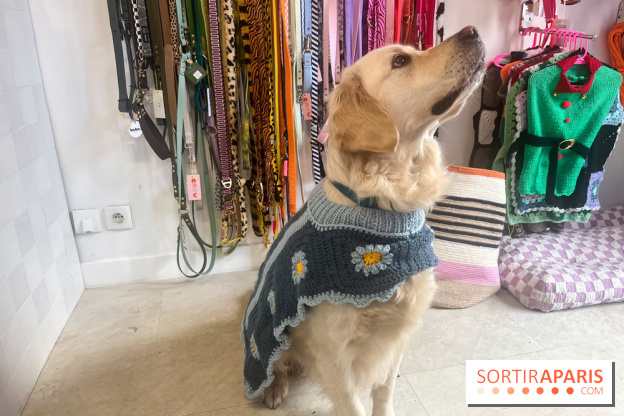CAYU Canidés Club, la boutique d'accessoires dog friendly - nos photos
