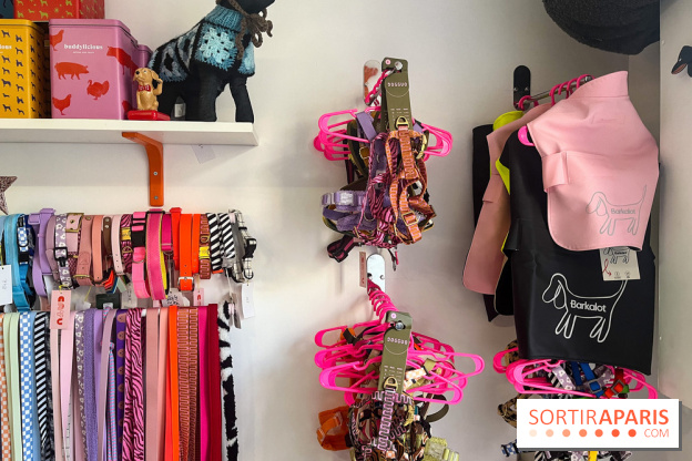 CAYU Canidés Club, la boutique d'accessoires dog friendly - nos photos