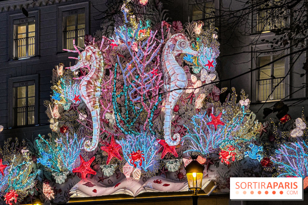 Les illuminations de Noël 2024 du Faubourg Saint Honoré avec Emmanuelle Béart - IMG 1627 jpg 2