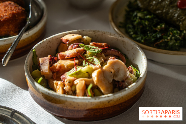 Osmossi par la maison Mavrommatis, le restaurant grec Paris 16e -  A7C7188