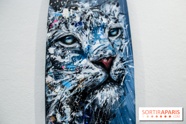 Boards to be solidaire 2024, nos photos - IMG 6873