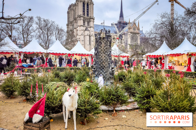 Le Marché de Noël de Notre Dame - IMG20241211111702