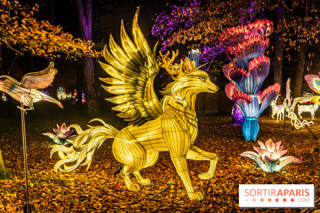 L'Odyssée Lumineuse 2024, le parcours de lumières au Parc Floral - les photos -  légende