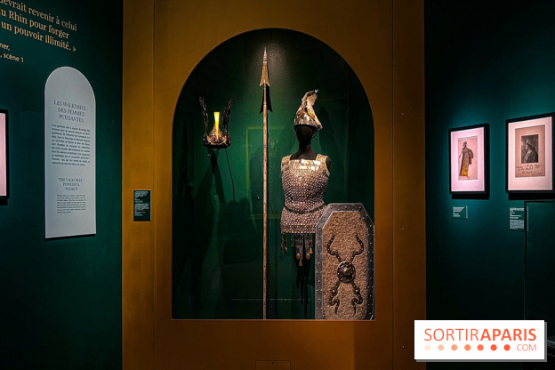 Bijoux de scène de l'Opéra de Paris : l'exposition de parures merveilleuses au Palais Garnier - IMG 2419 jpg