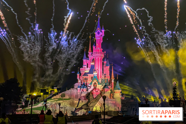 Disney ❤ Notre-Dame de Paris