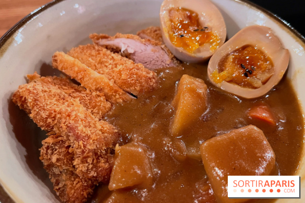 Jinchan Yokocho - Katsu curry don