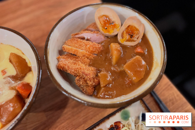 Jinchan Yokocho - Katsu curry don