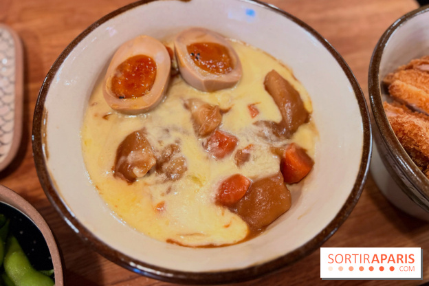 Jinchan Yokocho - Mont d'Or curry don