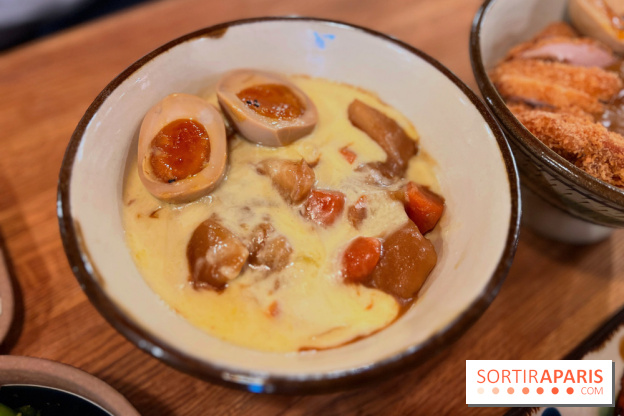 Jinchan Yokocho - Mont d'Or curry don