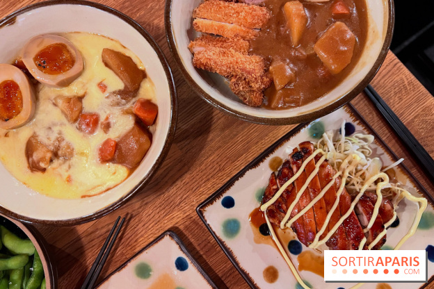 Jinchan Yokocho - Curry japonais