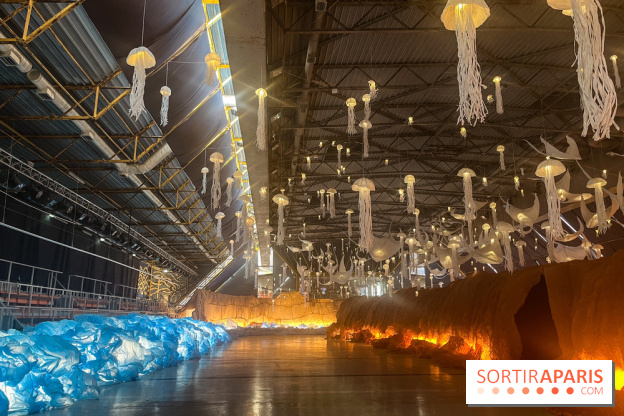 L'océan de Léa, l'exposition événement à la patinoire de Saint-Ouen - nos photos - image00040