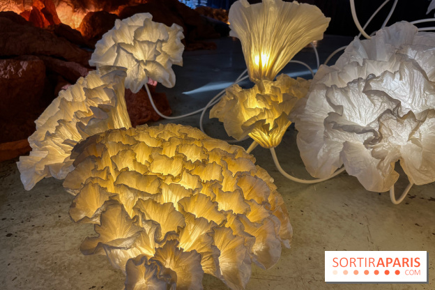 L'océan de Léa, l'exposition événement à la patinoire de Saint-Ouen - nos photos - image00033