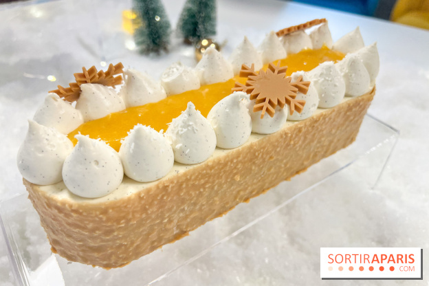 Bûches de Noël 2024 Bo&Mie - Flocon Exotique