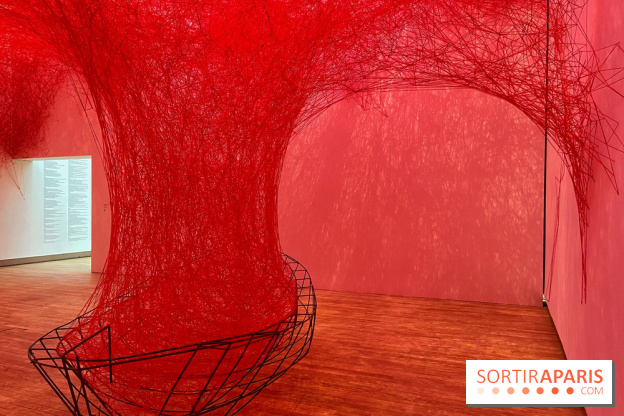 The Soul Trembles - IMG 7613