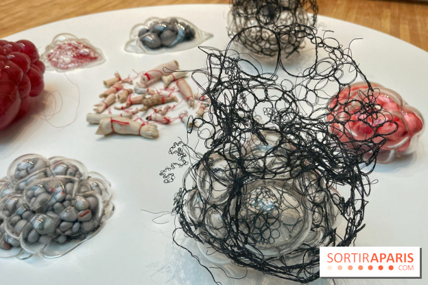 The Soul Trembles - IMG 7651