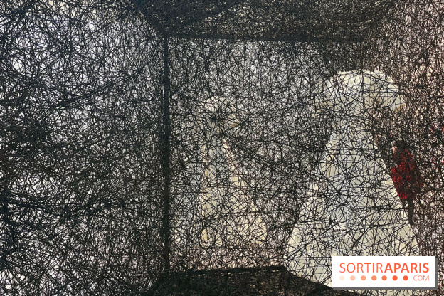 The Soul Trembles - IMG 7682