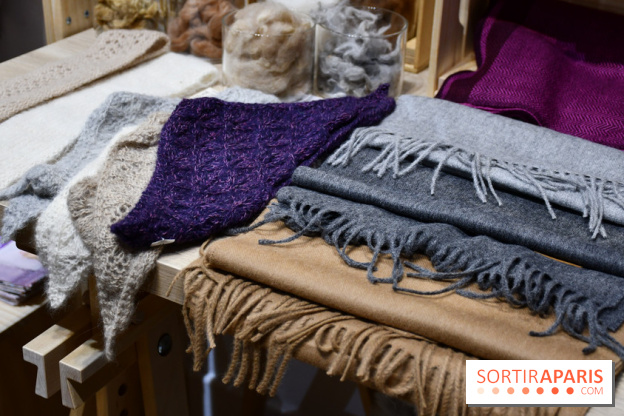 C'est le Pérou pour Noël, le pop-up store canon à Paris - DSC 2992