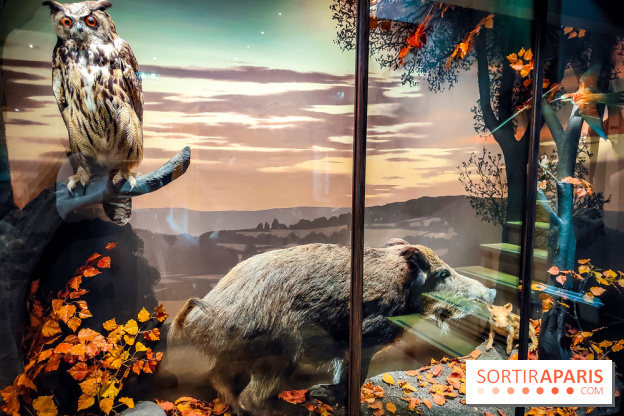 Musée de la chasse et de la nature - collections permanentes et visuels - IMG20241209153006