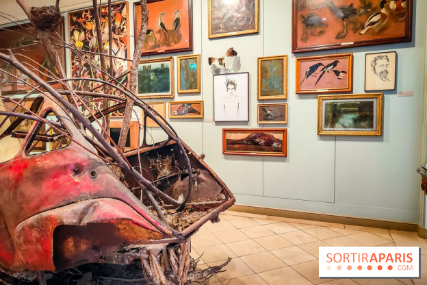 Musée de la chasse et de la nature - collections permanentes et visuels