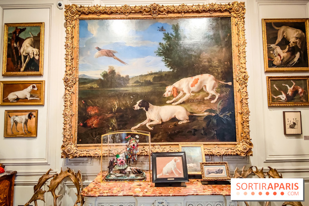 Musée de la chasse et de la nature - collections permanentes et visuels