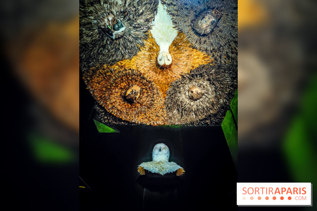 Musée de la chasse et de la nature - collections permanentes et visuels - IMG20241209151300