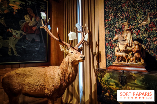 Musée de la chasse et de la nature - collections permanentes et visuels