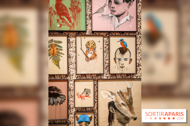 S'éclairer sans fin : l'exposition poétique d'Edi Dubien au musée de la Chasse et de la Nature - photos - IMG20241209145739