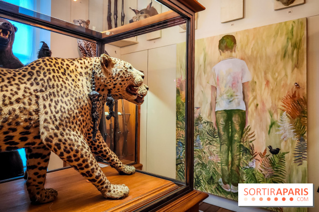 S'éclairer sans fin : l'exposition poétique d'Edi Dubien au musée de la Chasse et de la Nature - photos - IMG20241209152756