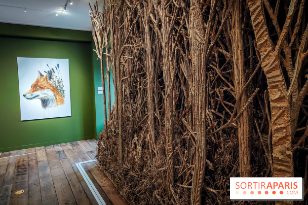 S'éclairer sans fin : l'exposition poétique d'Edi Dubien au musée de la Chasse et de la Nature - photos - IMG20241209153732