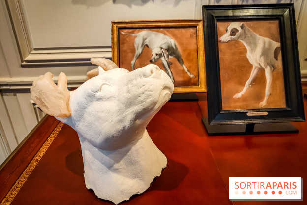 S'éclairer sans fin : l'exposition poétique d'Edi Dubien au musée de la Chasse et de la Nature - photos