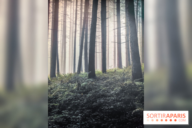 Silence : l'exposition immersive se dévoile à la Cité des Sciences et de l'Industrie - IMG20241210102205