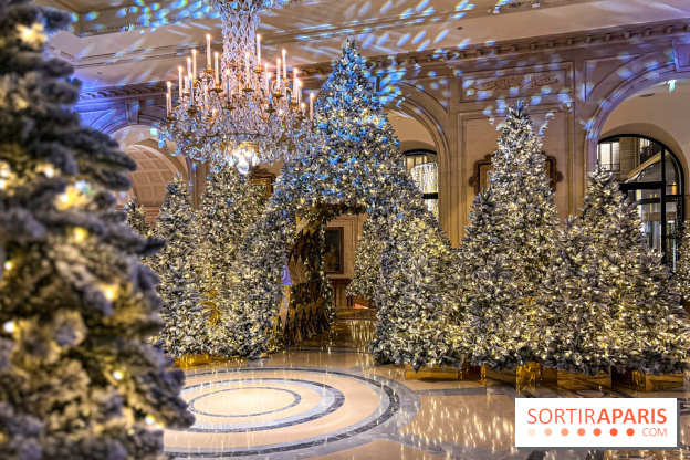 George V x Danico  - image00011