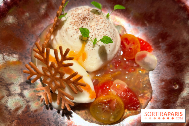 Virtus - Dessert main de bouddha