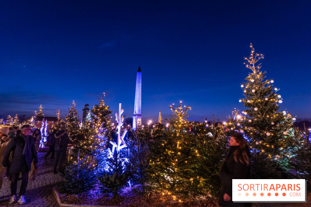 Le Marché de Noël de la Place de la Concorde à Paris -  A7C9428