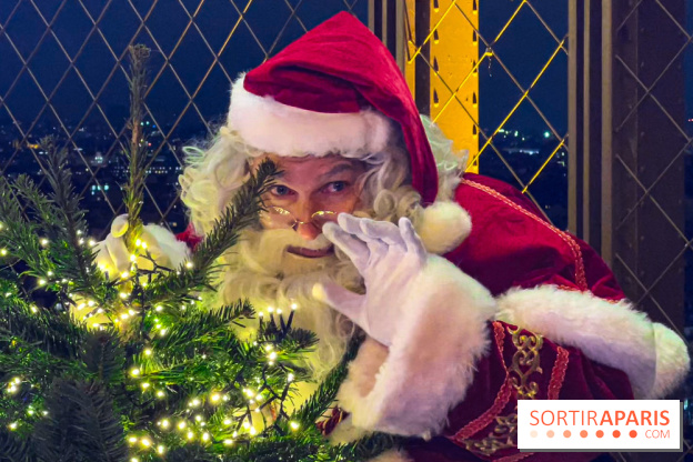 Noël 2024 à la tour Eiffel - image00029