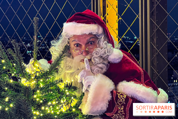 Noël 2024 à la tour Eiffel - image00030