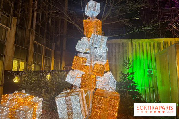 Bel Hiver Saint-Denis 2024 - nos photos - image00017