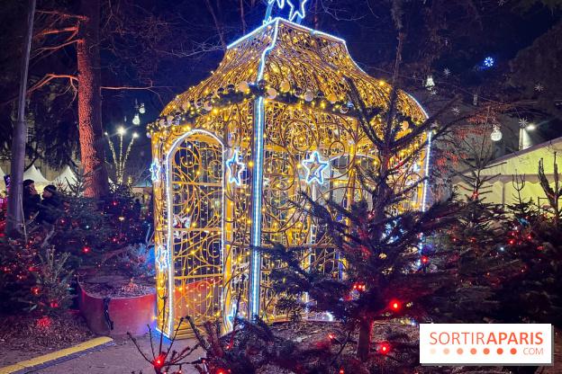 Bel Hiver Saint-Denis 2024 - nos photos - image00003