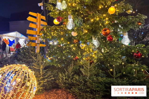 Bel Hiver Saint-Denis 2024 - nos photos - image00005